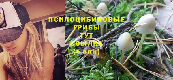 гашик Корсаков
