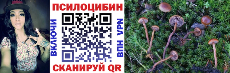 Псилоцибиновые грибы Magic Shrooms  Купить закладки  Электроугли 